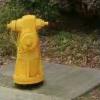 Hydrant 3