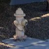 Hydrant 5