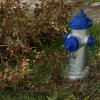 Hydrant 6